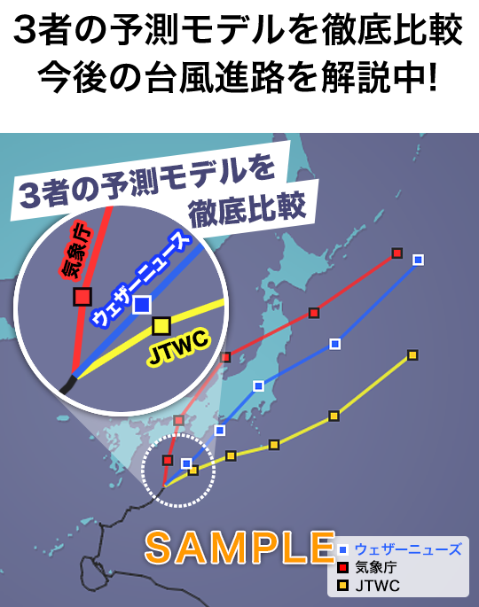 台風情報｜サンプル